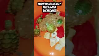 mis tortugas y peces betas apoyenn modo backrooms#turtle lo intente