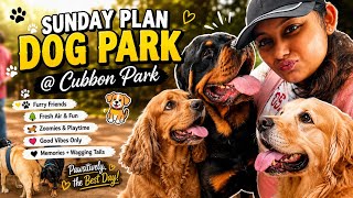 Sunday Plan: Dog Park @ Cubbon Park πΆπ³ | Bangalore Dog Vlog | Furry Friends & Fun