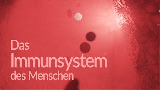 Immunsystem des Menschen - Aufbau und Funktion (Animation) by Thomas Schwenke 16,707 views 11 months ago 14 minutes, 4 seconds