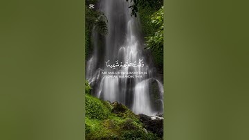 سورة المائدة | بصوت محمد الغزالي #shortvideo #سورة_المائدة #محمد_الغزالي #تلاوة مؤثرة#القرآن الكريم