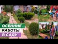 Осенняя обрезка декоративных кустарников и хвойных на участке.Обработка плодового сада.