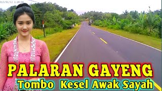  PALARAN GAYENG‼️PALARAN PALING MERDU‼️TOMBO KESEL AWAK SAYAH