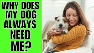 Why Does My Dog ALWAYS Want To Be With Me? (LOVE)