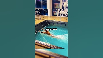 Cách một vận động viên bơi lội luyện tập