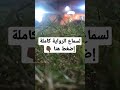 أيام الكونغو سلسلة سافاري دكتور أحمد خالد توفيق 