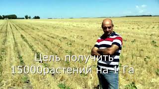 Лекция о нормах высева в технологии NO-TILL. Текниум-Агро организует обучающие поездки в Аргентину