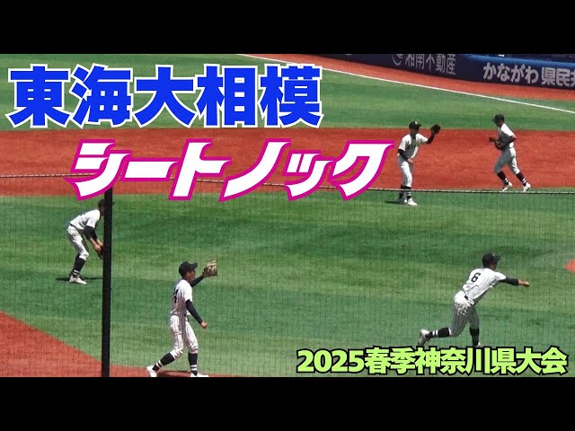 東海大相模　試合用ヘルメット　2025夏季大会 東海大相模 試合用ヘルメット 2025夏季大会 - メルカリ