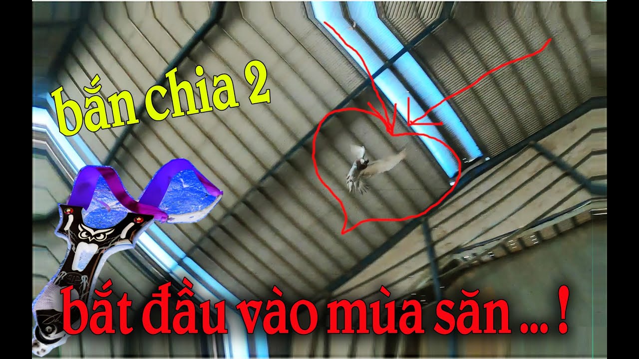 Được Ông Chủ Kêu Săn Bắt Chia 2