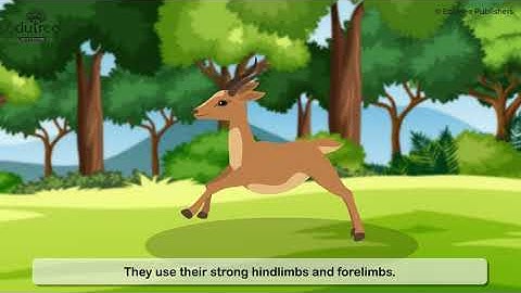 Science Scope Grade – 5 (Chapter 8) – Movements in Animals