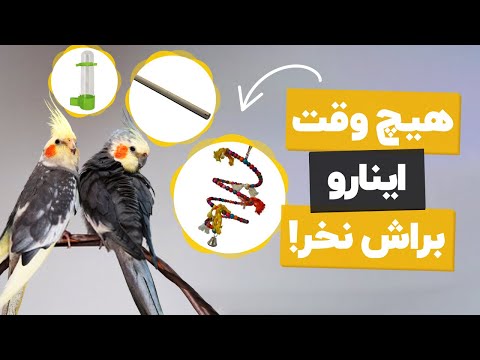 تصویری: چرا تجهیزات زمین بازی خوب است؟