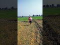 युरिया #खाद