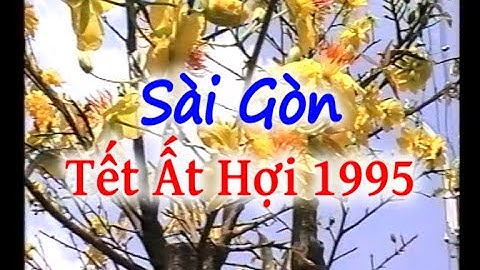 THÀNH PHỐ VÀO XUÂN Sài Gòn Tết Ất Hợi 1995 Master