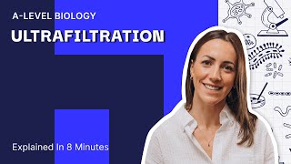 Everything You Need To Know About Ultrafiltration in 8 Mins