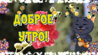 ☕ С Добрым Утром!🌞Солнечного настроения и удачного дня!🌞