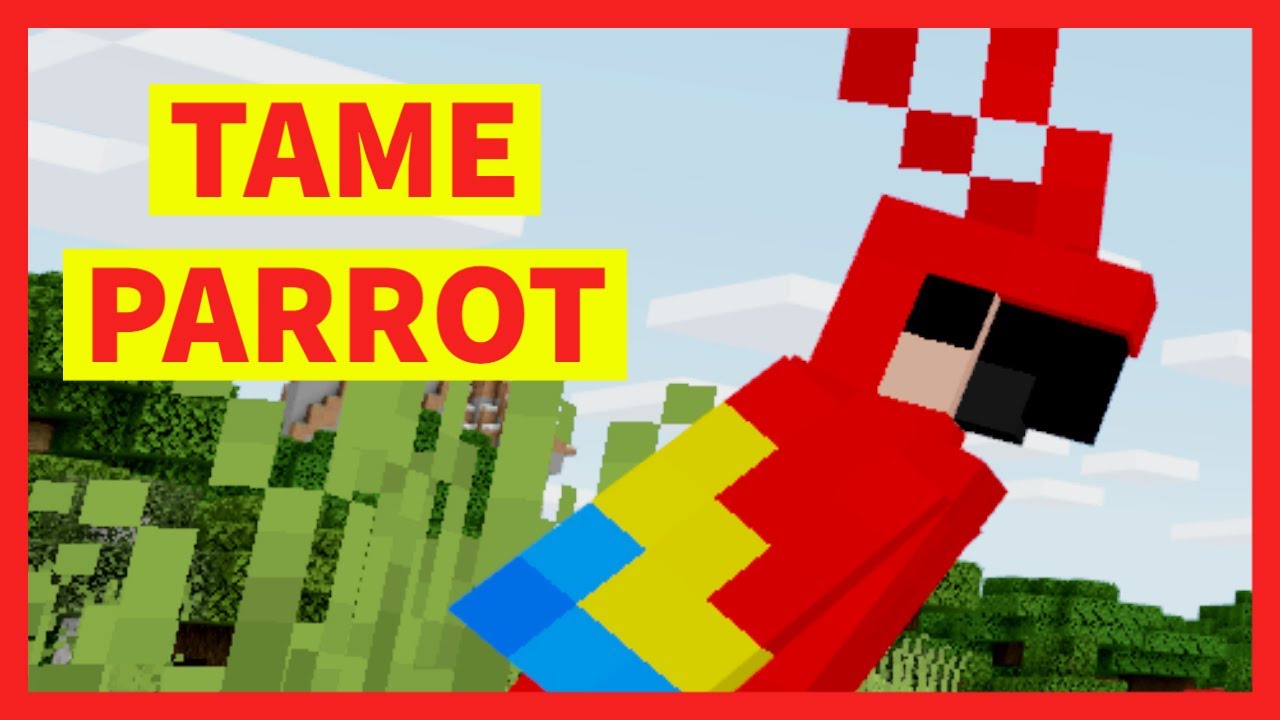 How to Tame a Parrot in Minecraft - YouTube