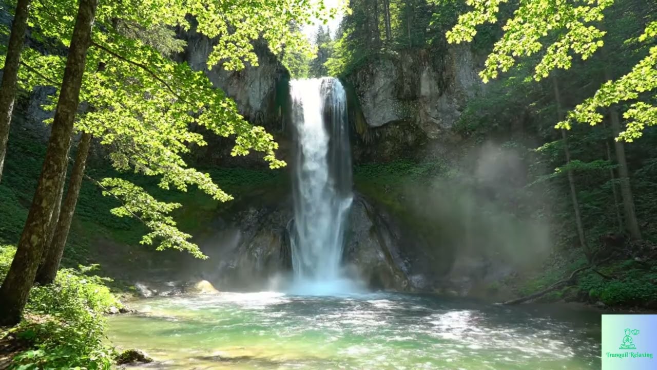High Waterfall in the Silent Forest | Deep Calm Nature Sounds