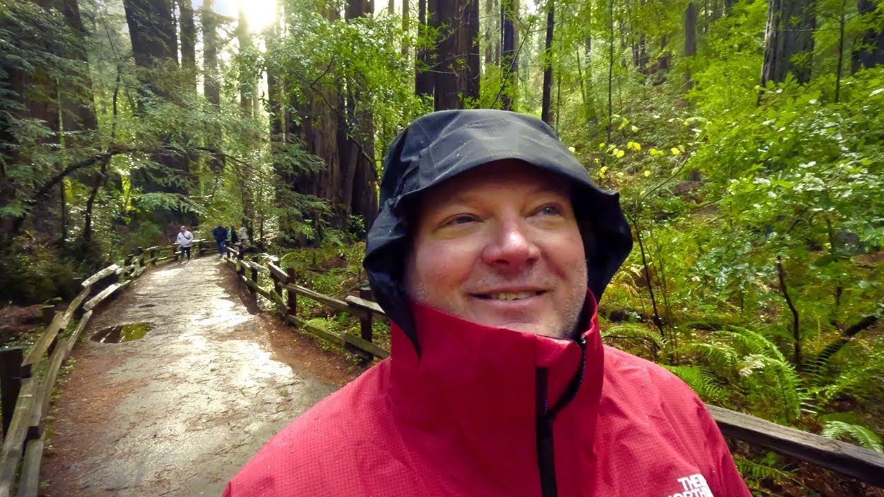 An earlymorning, rainy visit to the Muir Woods National Monument YouTube