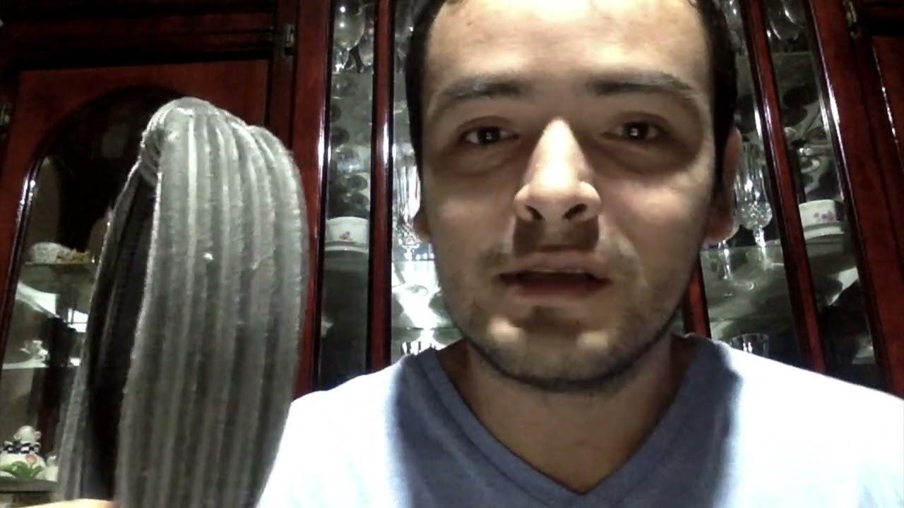 Berkeley: "Ser es ser percibido"