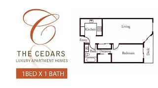 CEDARS 1 BED X 1 BATH  TOUR