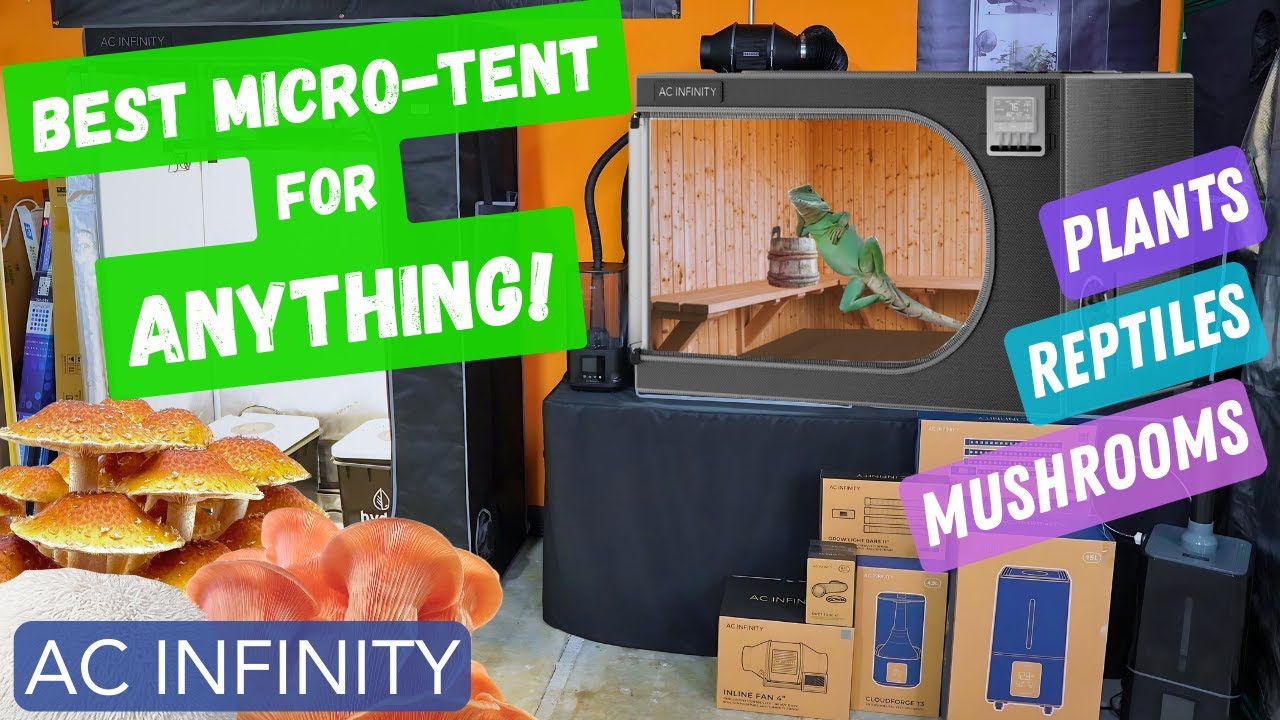NEW AC INFINITY Propagation Tent Setup | Great for Mushrooms & More