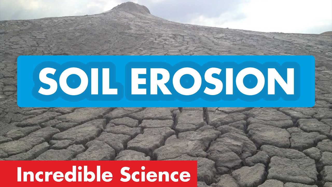 Soil Erosion | Causes and Types | Soil Conservation | Science Video for ...