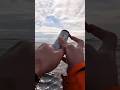 MARINE signal flare #shorts