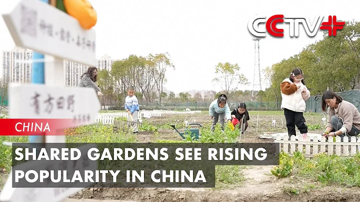 Shared Gardens See Rising Popularity in China - DayDayNews