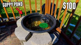 How To Make A GUPPY POND For $100 *EASY*
