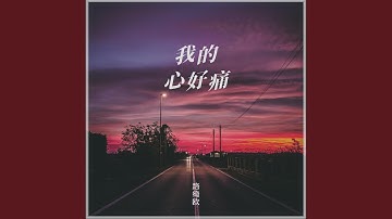 我的心好痛 (DJ阿卓版)
