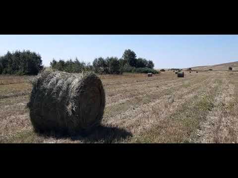 Бейне: 19 ғасырдың аяғында фермерлер өз мәселелерін қалай шешуге тырысты?