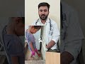 Prevention of rabies#animal bite#first aid