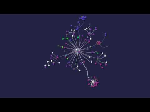 Website traffic visualization using Gource