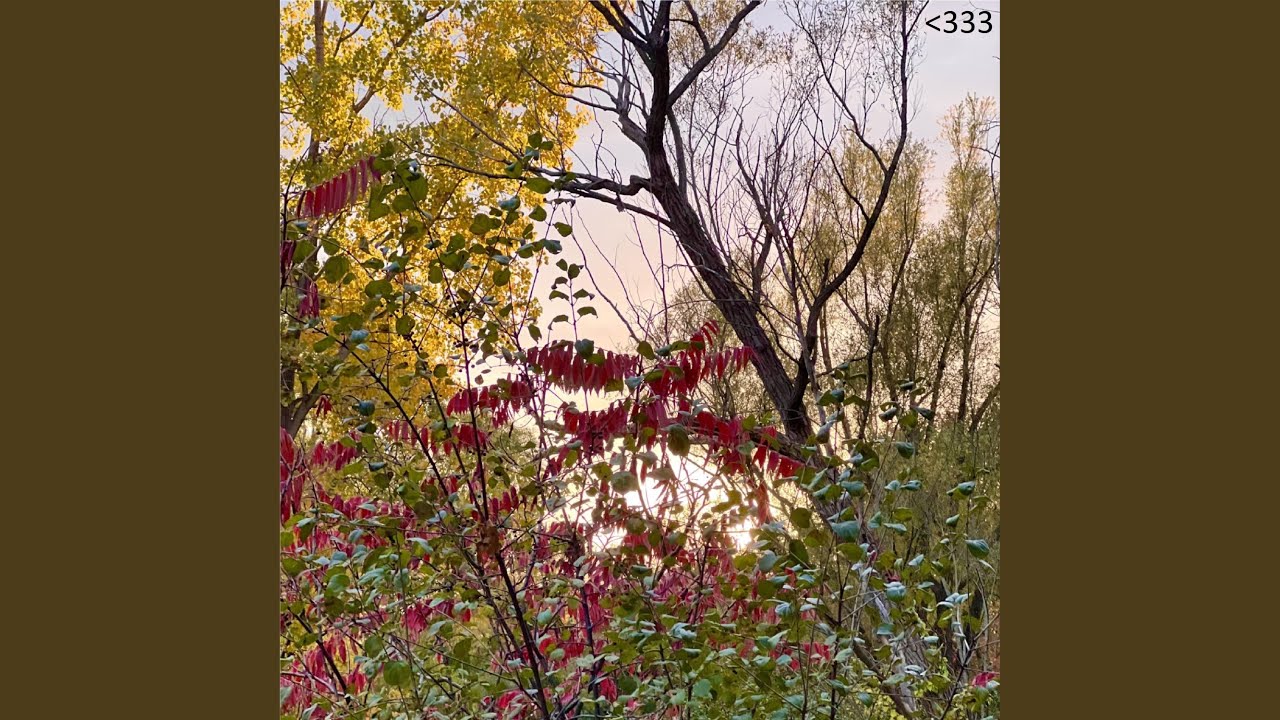 rlyy bekijken op YouTube rlyy bekijken op YouTube