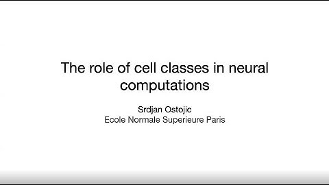 The role of sub-population structure in neural computations