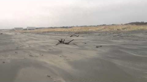 Beach Sand Migration