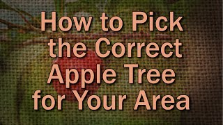Choosing the Right Variety of Apple for Your Area – Family Plot