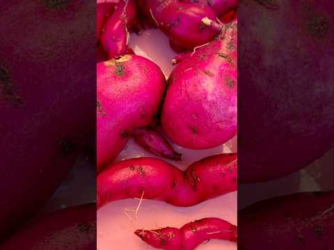 Homegrown sweetpotato #shorts #sweet #potato #ytshorts Harvesting organic sweet potato