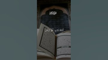 يَوَيْلَتَى لَيْتَنِي لَمْ أَتَّخِذْ فُلَانًا خَلِيلًا#القرآن_الكريم #سورة#الفرقان