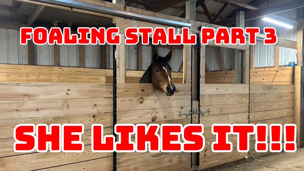 Building a Foaling Stall for our Horses Part 3
