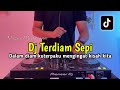 DJ TERDIAM SEPI - DALAM DIAM KU TERPAKU VIRAL FULL BASS 2024
