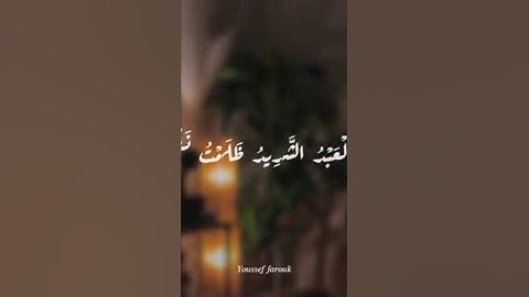 القرآن الكريم يريح قلبك #اكسبلور #الداخله #دويتو #التغطيه #لايك #البخل #تيك_توك #المراه #ترند