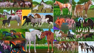 A Look At ALL The New 2022 Star Stable Horses