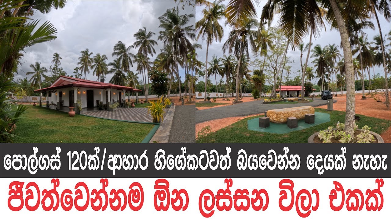 දෙව්ලොව පොල් පේන විලා එකයි, පොල්ගස් 120යි, පර්චස් 360යි, ඉඩමට ආපු කෙනෙක්ට අපහු යන්න හිත දෙන්නෙ නැහැ.