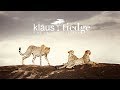 Wildlife photography goals with klaus tiedge