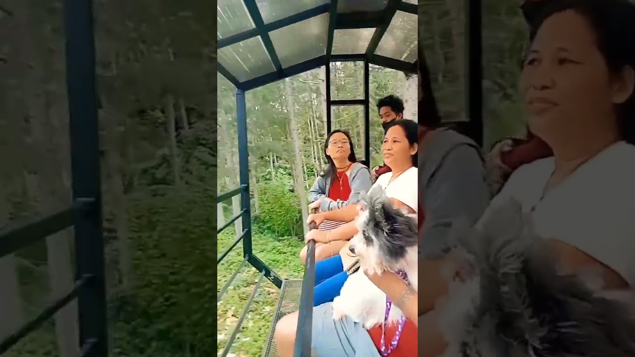 camp sabros cable car ride 