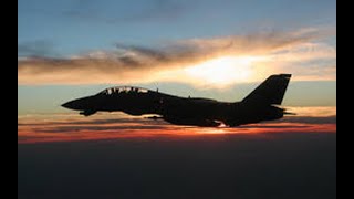 F 14 Tomcat Tribute Remake