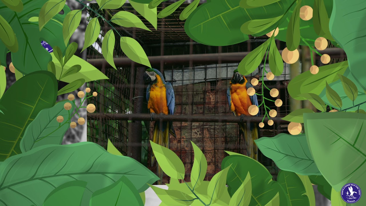 Pointe-A-Pierre Wild Fowl Trust Tour