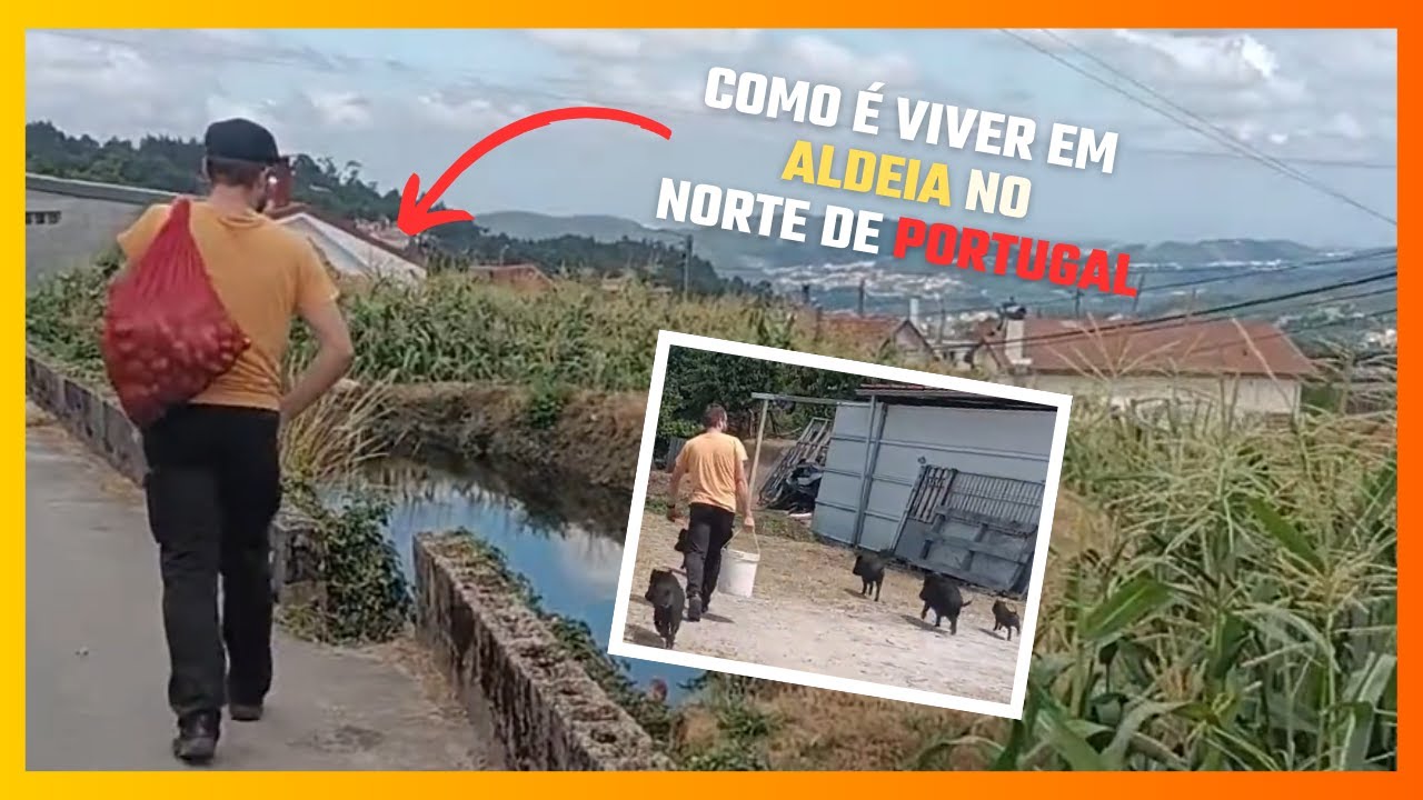 Como viver em uma vila do interior de Portugal - Abundância e Trabalho