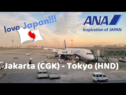 Video: Kapal Terbang Bertemakan Laut ANA Akan Melayani Honolulu Dari Tokyo