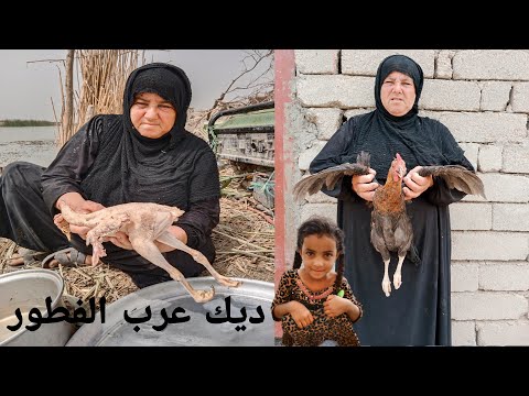سوت الحجية ديك عرب الفطور مع سفره رمضانيه متكونة من خيرات الله